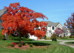 Maryland house in autumn