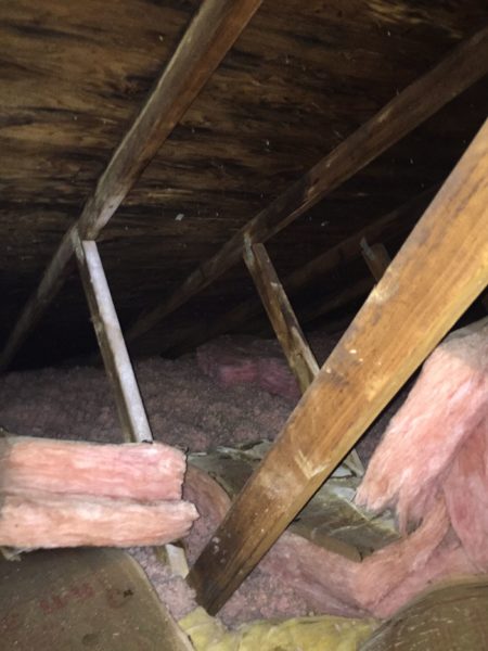 Moldy attic