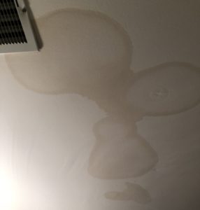 Ceiling stain thought to be caused by roof leak