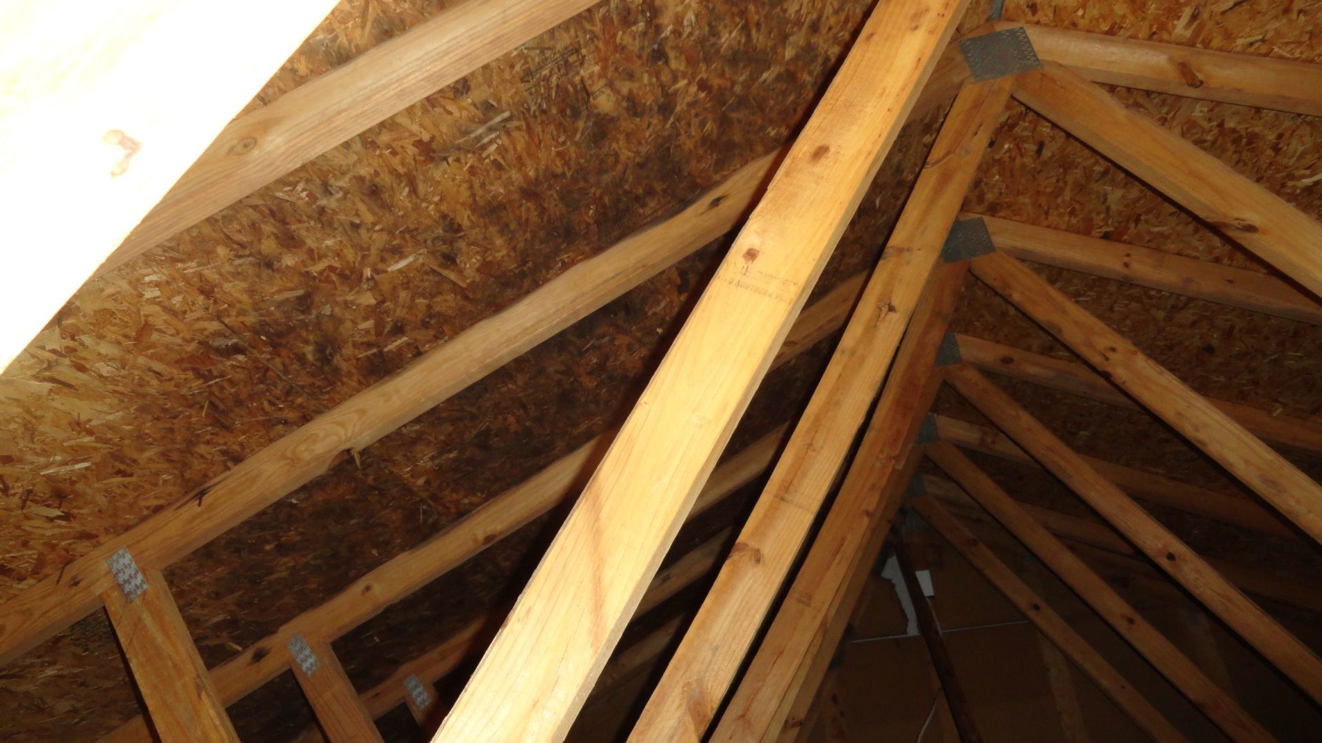 Do you have dangerous mold in your attic? On Top Home Improvements, Inc.