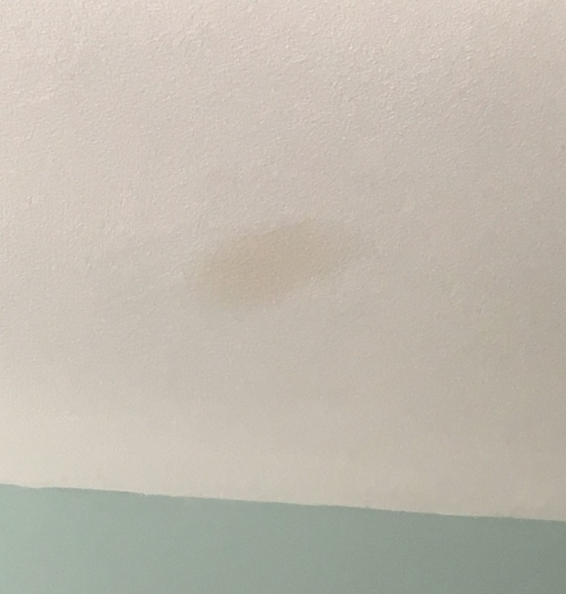 pee stain on ceiling On Top Home Improvements, Inc.