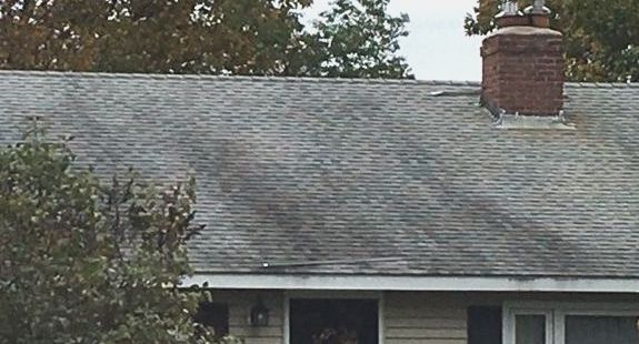 Ugly Algae Growing on Roof Shingles